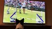 Border Collie enthusiastically watches herself win agility competition on TV