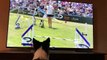 Border Collie enthusiastically watches herself win agility competition on TV