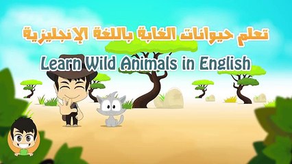 Wild Animals in English for Kids الحيوانات للأطفال حيوانات الغابة باللغة الإنجليزية للاطفا