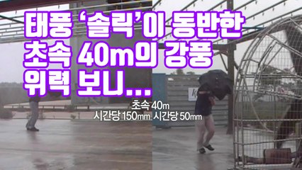 [자막뉴스] 태풍 '솔릭'이 동반한 초속 40m의 강풍, 위력 보니... / YTN