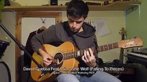 David Guetta Feat. Sia She Wolf (Falling To Pieces) (Guitar Cover By Maxl)