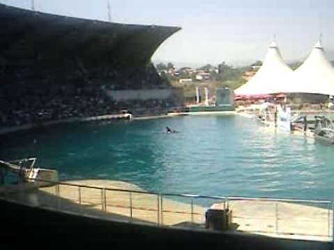 Vancances ete 2007 121