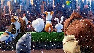 Finger Family Song! Nursery Rhyme The Secret Life of Pets ❤ Music Cute ♪ ♫ Kids Songs