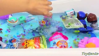 New Paw Patrol Paddlin Pups Everest and Ryder Swim with Surprises