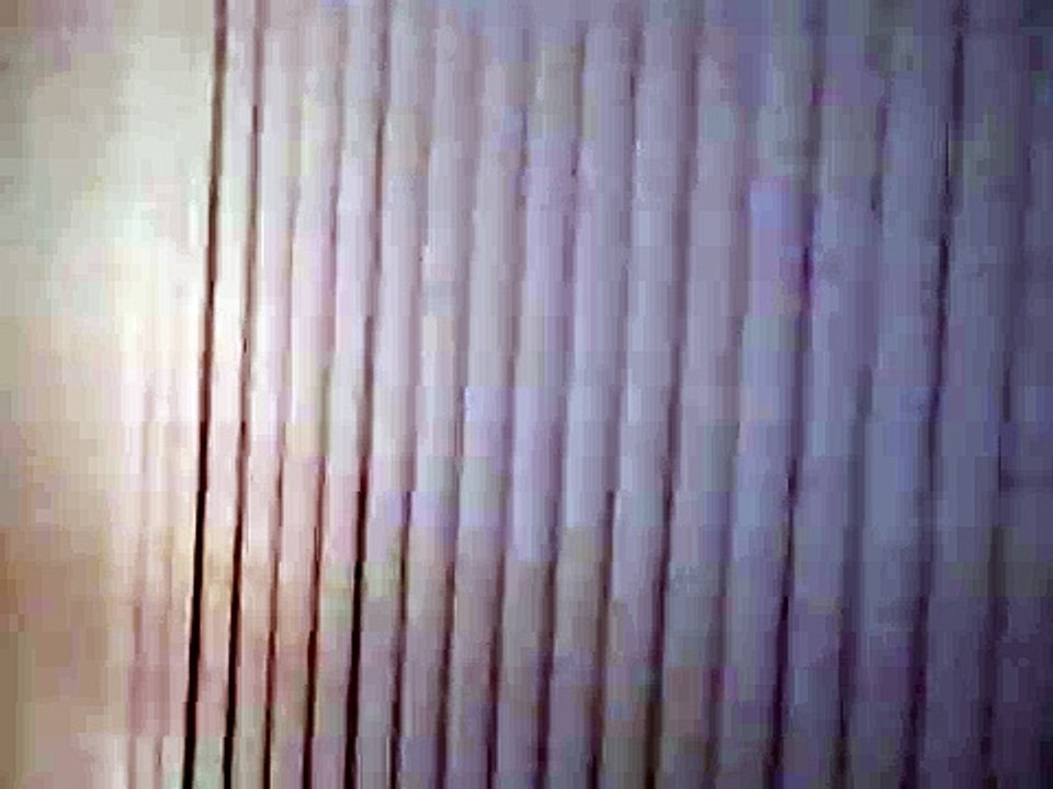 Scary Cry of an Unknown Nocturnal Creature