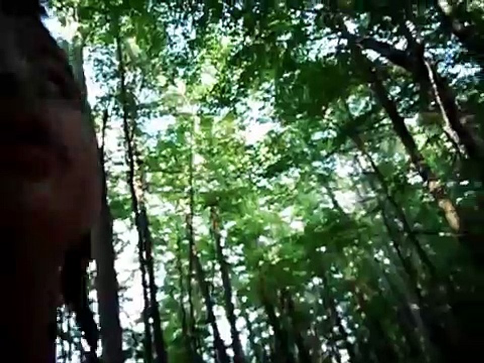 WATCH IF YOU DARE (RABID RACCOON)