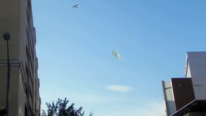 Another plane stands still in mid air: Mandela Effect