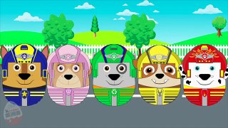 New Finger Family Kids Song Peppa Pig Paw Patrol Take Flight Daddy Finger Nursery Rhyme #A