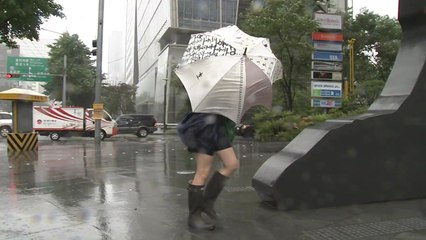 태풍 '솔릭', 도심 지날 때 더 위험하다 / YTN