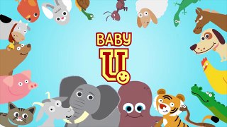 Baby U развивающий мультик для малышей от BabyFirstTV! Дикие животные, учим животных с дет