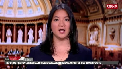 Réforme ferroviaire : Audition d'Elisabeth Borne + fin de l'embauche au statut - Les matins du Sénat (30/07/2018)