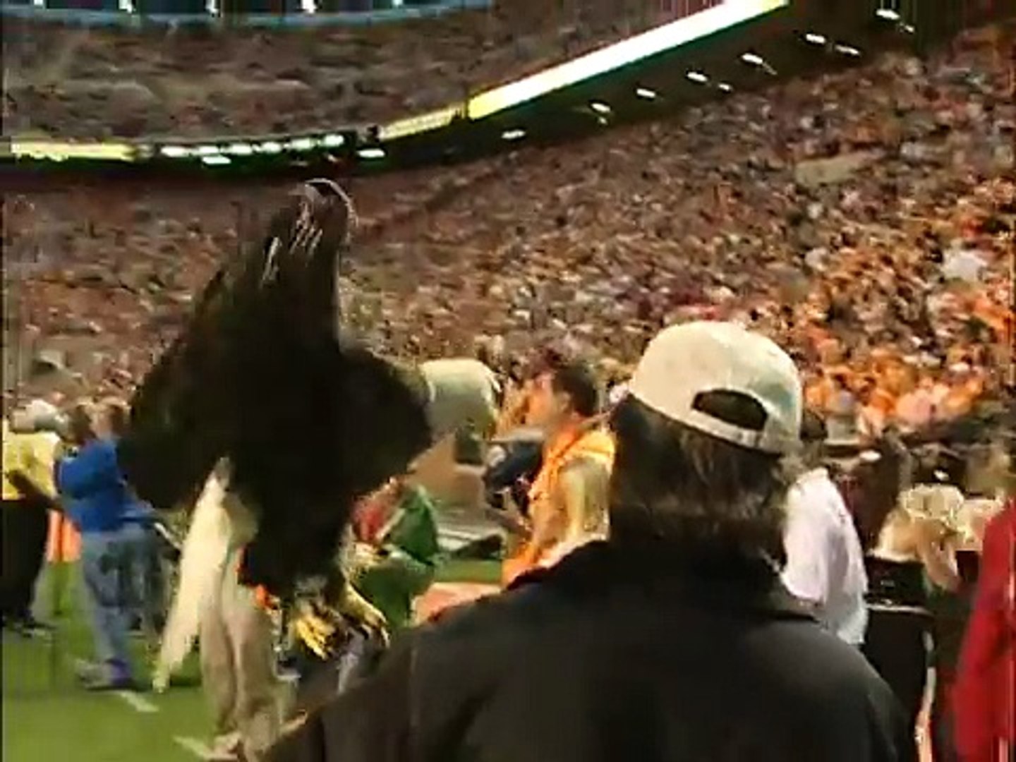 Bald Eagle Challenger at University of Tennessee Oct. 23, new