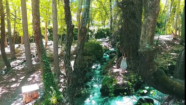 Sevtap Sonu - Ben Yaralı Ceylanım (Official Video)