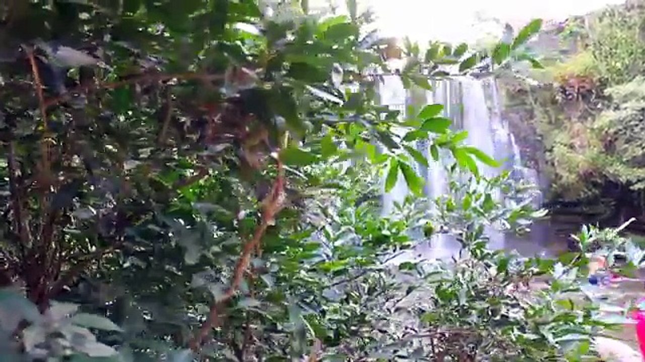 TOP FREE COSTA RICA WATERFALL TOUR LLANOS DE CORTEZ WATERFALL HD
