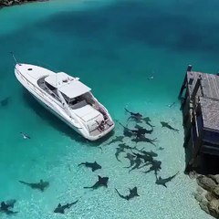 Breeze Yachts'ta Kiralık Motor Yat Kiralama