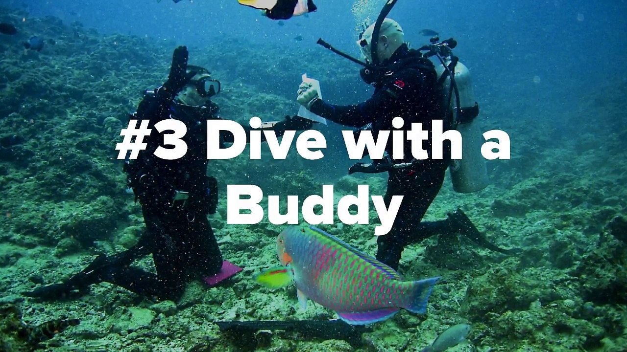 7 Most Important Scuba Diving Tips Before You Dive In