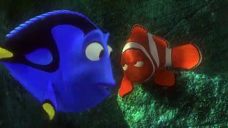 Best of Finding Nemos Dory (Finding Dory)