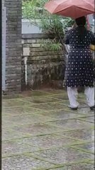 പെരുംമ്പാമ്പിനെ ഒറ്റയ്ക്കു നേരിടുന്ന  ഈ വീട്ടമ്മമാരെ നമിച്ചു | OneIndia Malayalam