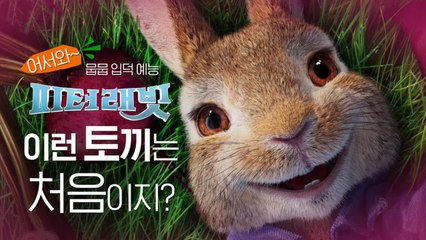 [뭅뭅입덕예능]  이런 토끼는 처음이지?