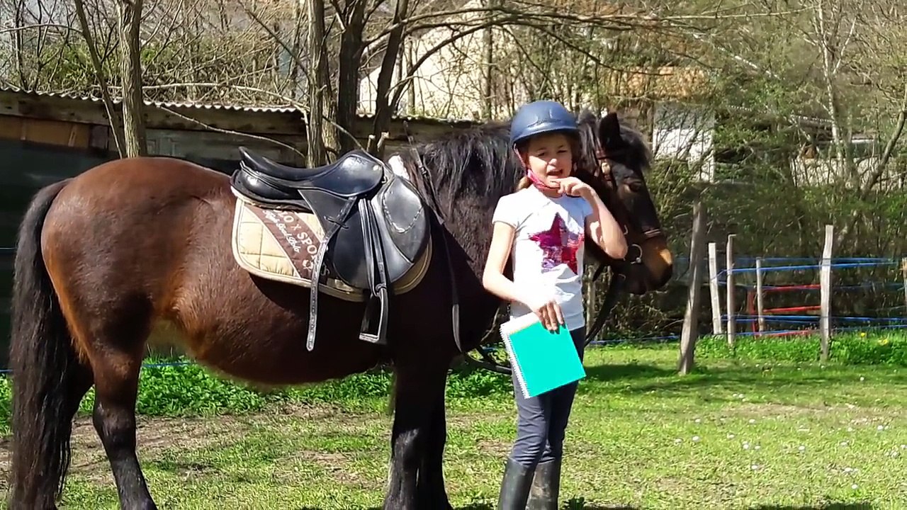 Cap ou pas cap à cheval