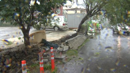 태풍 '솔릭' 제주 강타...비 소강·강풍 여전 / YTN