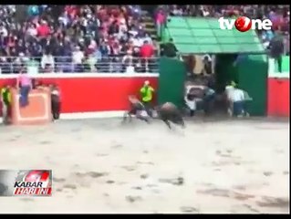 3 Orang Terluka di Festival Banteng Peru