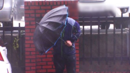 [날씨] 태풍, 서해안으로 느리게 접근...내일 새벽 서천 상륙 / YTN