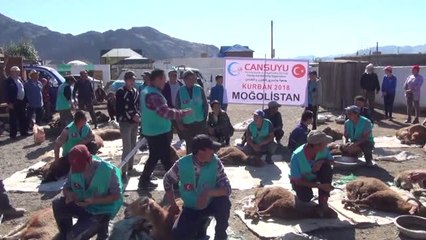 Moğolistan'da Bin Aileye "Cansuyu"