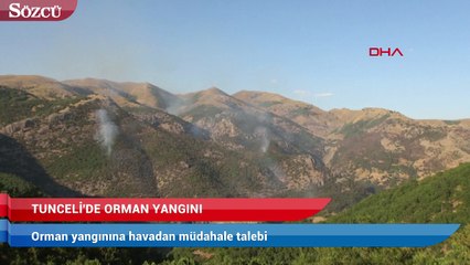 Download Video: Tunceli'deki orman yangınına havadan müdahale talebi