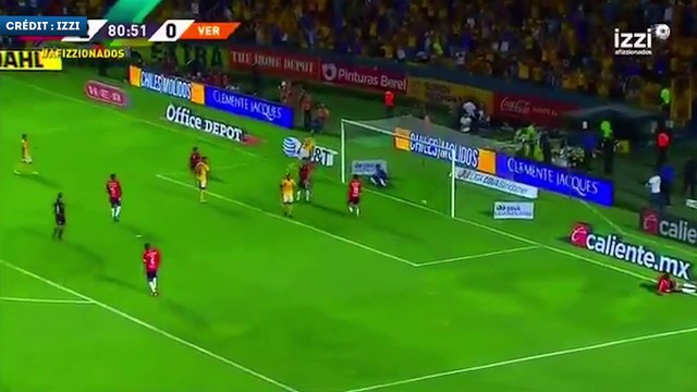 Le retourné spectaculaire de Gignac avec les Tigres !