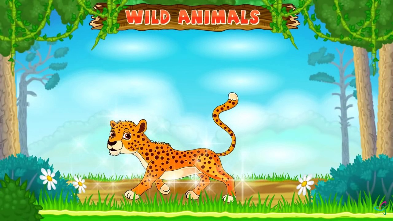 WILD ANIMALS - Motion Dreams Entertainment