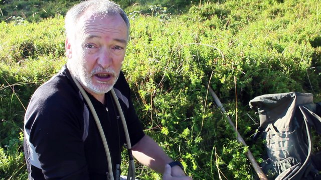Comptage du grand tetras à Cauterets