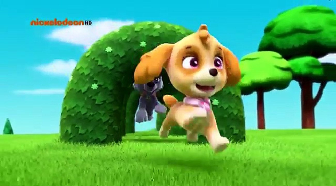 PAW Patrol Rocky plays with Skye