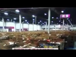 阿里雙11破世界紀錄 交易額24小時1682億