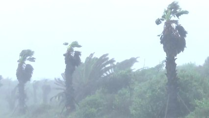 태풍 '솔릭' 제주 점차 벗어나...피해 속출 / YTN