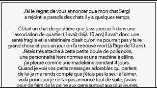 LE CHAT DE NORMAN EST MORT l RIP SERGI ! HOMMAGE TOUCHANT !