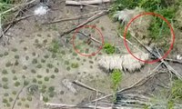 Amazon'da ilkel kabile görüntülendi