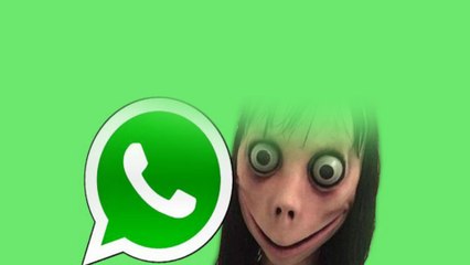 మోమో గేమ్‌కు రాజస్థాన్ లో మరో ప్రాణం బలి