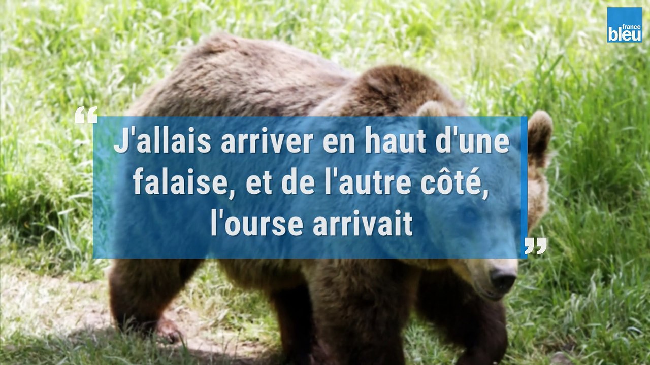 Lucas, poursuivi par une ourse dans les Pyrénées