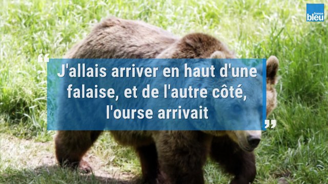 Lucas, poursuivi par une ourse dans les Pyrénées