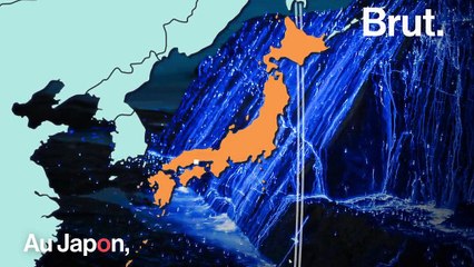 Pourquoi certaines plages scintillent la nuit ?