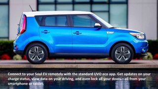 All New 2019 Kia Soul EV Eco Friendly Car – Westsie Kia