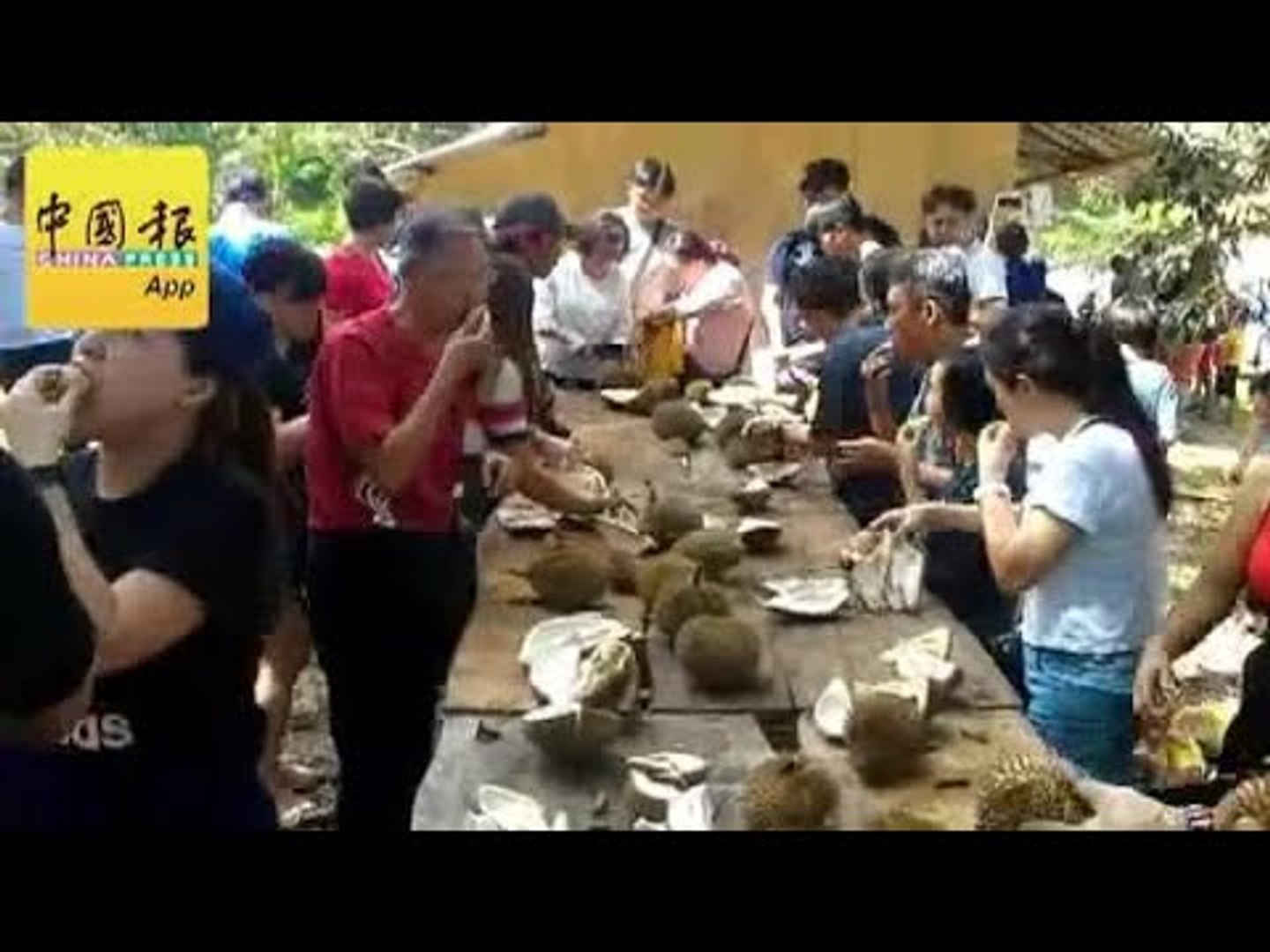 文冬加叻榴槤會 千人報名狂吃！