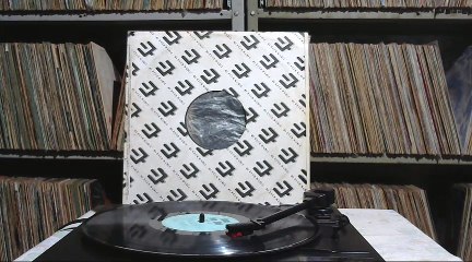 Zoom - This Must be Love