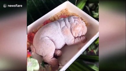 Des glaces en forme de chiens vendues en Chine... Bizarre