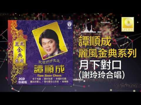 譚順成 谢玲玲 Tam Soon Chern Mary Xie - 月下對口 Yue Xia Dui Kou (Original Music Audio)