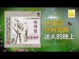 林祥園 Ling Xiang Yuan - 迷人的晚上 Mi Ren De Wan Shang (Original Music Audio)