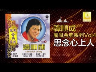 譚順成 Tam Soon Chern - 思念心上人 Si Nian Xin Shang Ren (Original Music Audio)