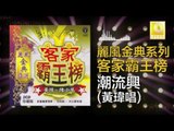 黃玮 Huang Wei - 潮流興 Chao Liu Xing (Original Music Audio)