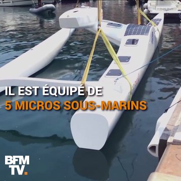 Ce drone marin peut détecter les baleines dans un rayon de 10 km